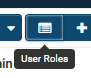 Return to user roles.png
