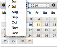 Month-datepicker.png