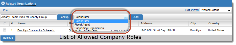 Orgs - List of Company Roles.png