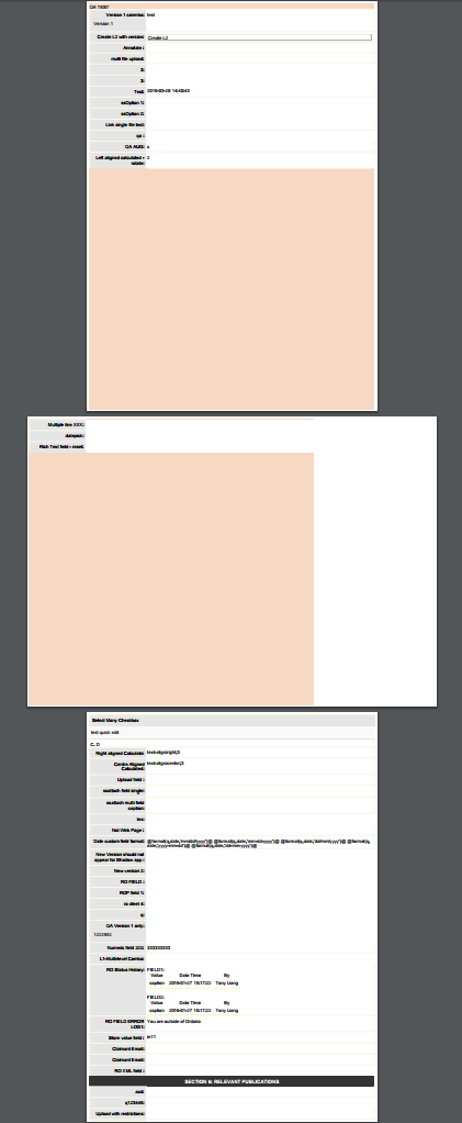 Smartfield pdf options example.png